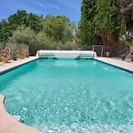 L'ours Brun *