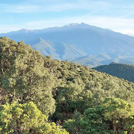 Hébergement de vacances L'ours Brun Eus